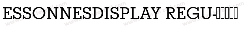ESSONNESDISPLAY REGU字体转换
